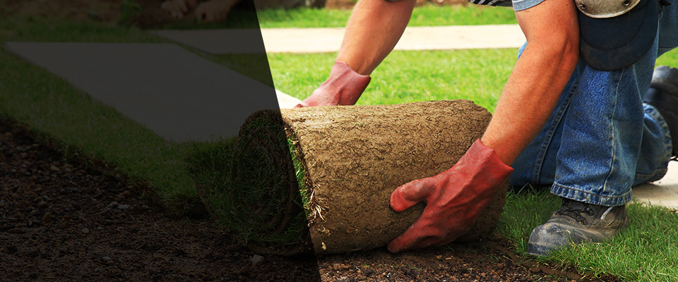 Hempstead Landscapers